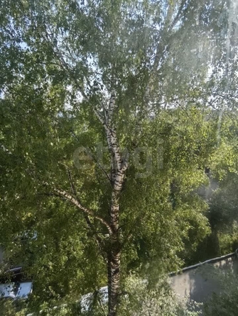 
  Продается 3-комн. квартира 55.2 м². Фото 20.