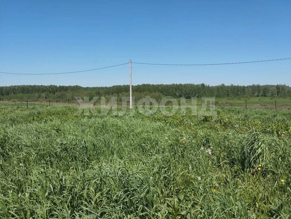 
  Продается дом 34 м². Фото 19.