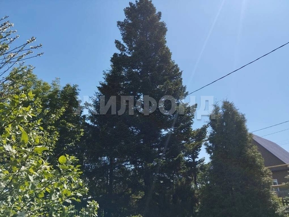 
  Продается дом 34 м². Фото 47.