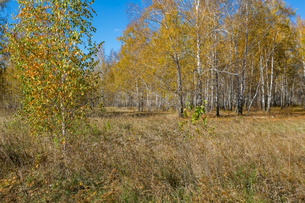 
  Продается земельный участок 18.84 соток. Фото 8.
