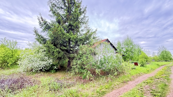 
  Продается дача 25 м². Фото 6.