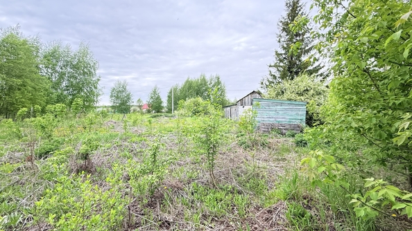 
  Продается дача 25 м². Фото 25.