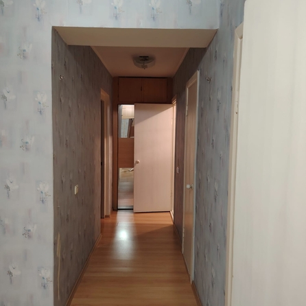 
  Сдам 1-комн. квартиру 55.5 м². Фото 14.