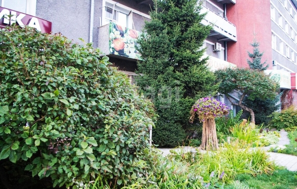 
  Продается студия 25 м². Фото 11.
