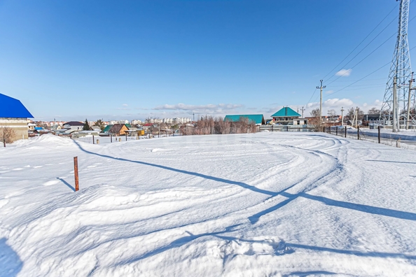 
  Продается земельный участок 10 соток. Фото 11.