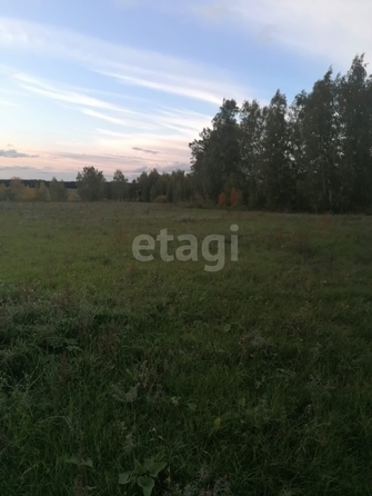 
  Продается земельный участок 1291.6 сотка. Фото 6.
