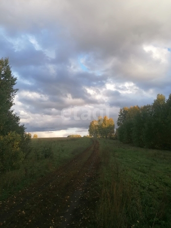 
  Продается земельный участок 1291.6 сотка. Фото 11.