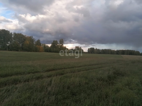 
  Продается земельный участок 1291.6 сотка. Фото 19.