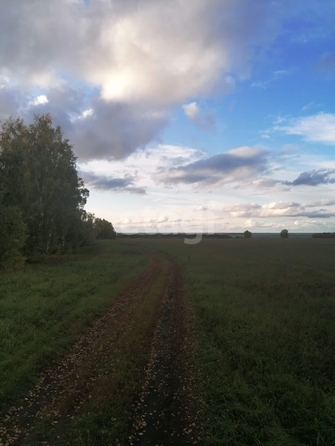 
  Продается земельный участок 1291.6 сотка. Фото 20.