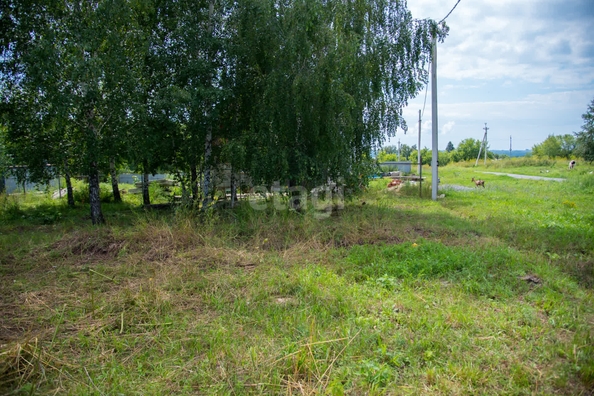 
  Продается земельный участок 15 соток. Фото 5.