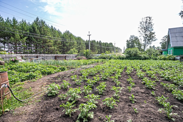 
  Продается дом 45 м². Фото 24.