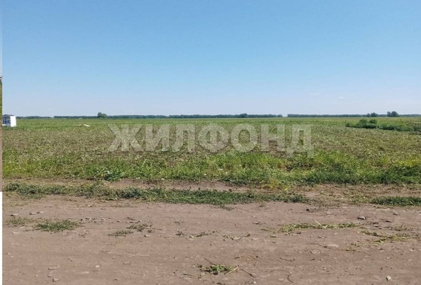 
  Продается земельный участок 10.4 соток. Фото 5.