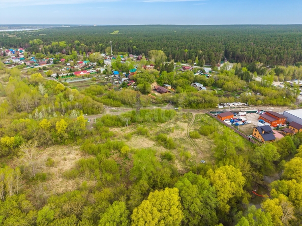 
  Продается земельный участок 65 соток. Фото 6.