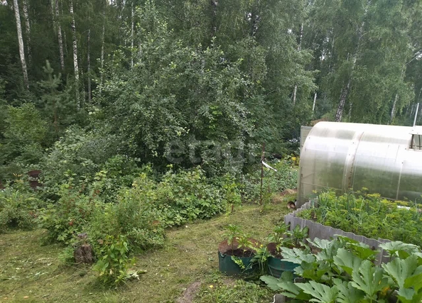 
  Продается дача 22.5 м². Фото 9.
