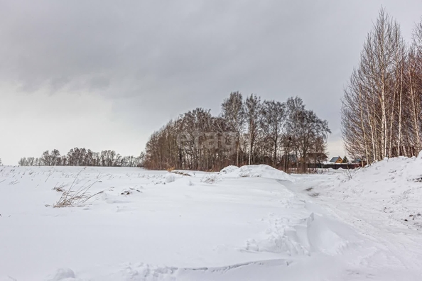 
  Продается земельный участок 5 соток. Фото 7.