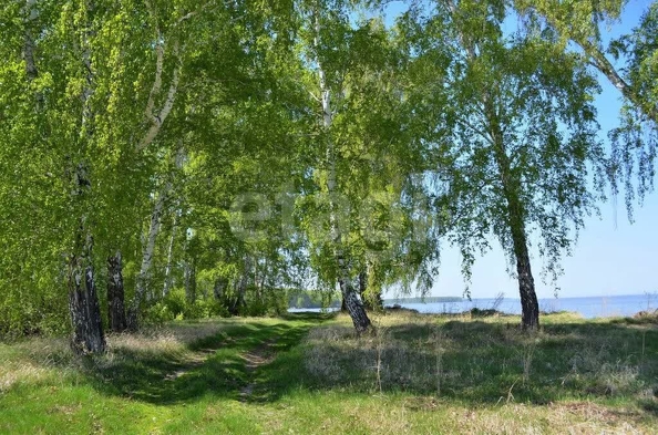 
  Продается земельный участок 10.2 соток. Фото 5.