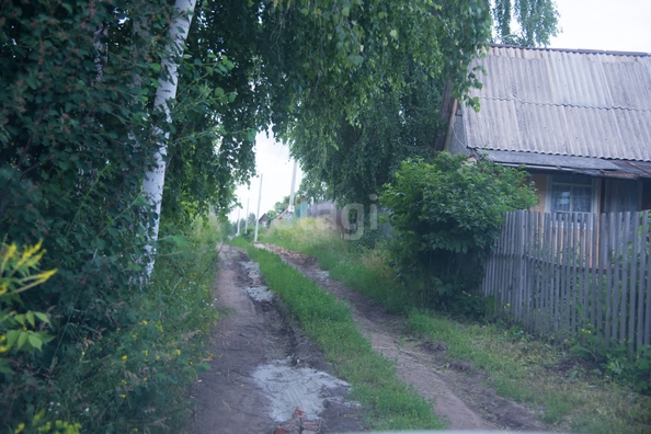 
  Продается земельный участок 6 соток. Фото 4.