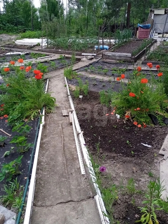 
  Продается дача 36 м². Фото 13.