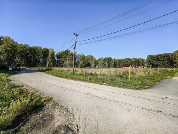 
  Продается земельный участок 7.2 соток, в КП Клевер. Фото 8.