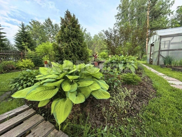 
  Продается дача 20 м². Фото 36.