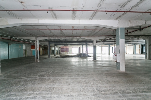 
  Продается универсальное помещение 944.9 м². Фото 16.