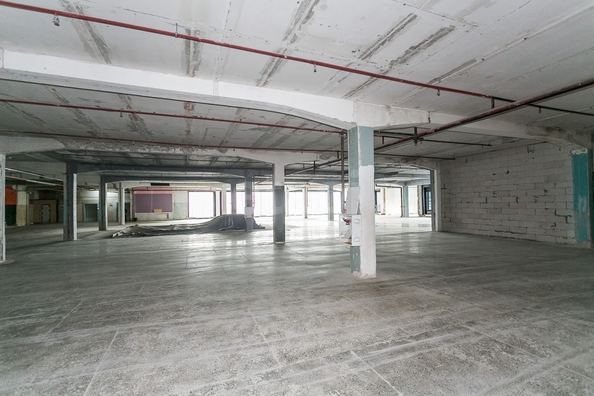 
  Продается универсальное помещение 944.9 м². Фото 19.