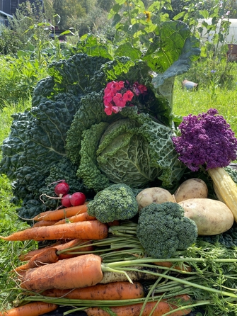 
  Продам дачу 26 м². Фото 8.
