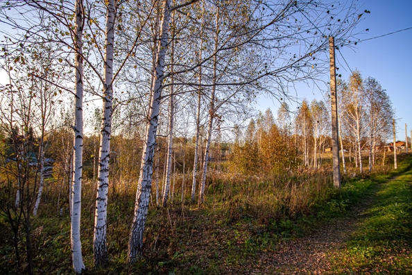 
  Продается земельный участок 12 соток. Фото 1.