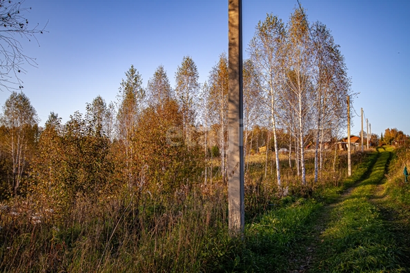 
  Продается земельный участок 12 соток. Фото 6.