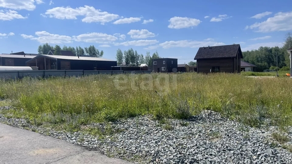 
  Продается земельный участок 6 соток. Фото 2.