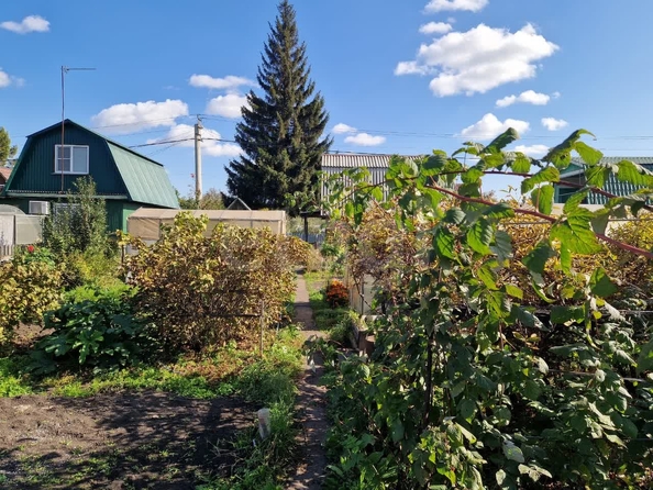 
  Продается дача 38 м². Фото 5.