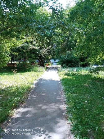 
  Продается 3-комн. квартира 61 м². Фото 12.