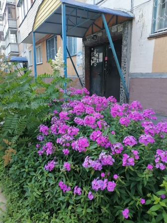 
  Продается 2-комн. квартира 42.2 м². Фото 1.