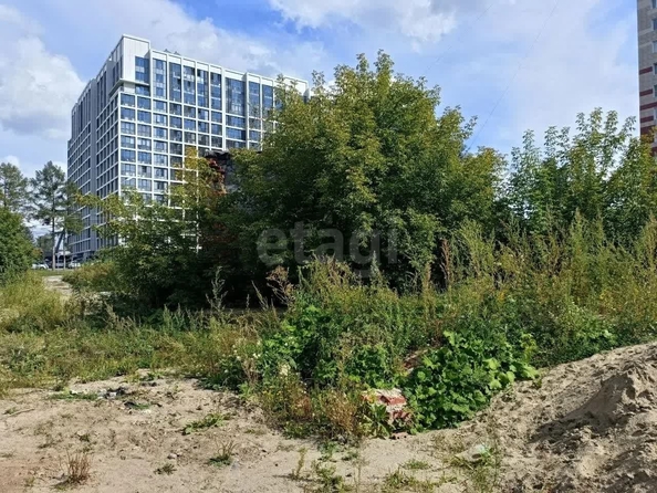 
  Продается земельный участок 35.62 соток. Фото 12.