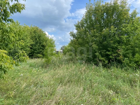 
  Продается производственное помещение 560 м². Фото 19.