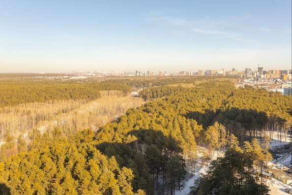 
  Продается 1-комн. квартира 48.9 м², в ЖК Бирюзовая жемчужина-4. Фото 26.