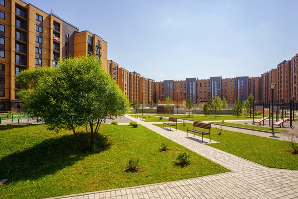 
  Продается 1-комн. квартира 28.8 м², в ЖК Цивилизация, дом 2. Фото 8.
