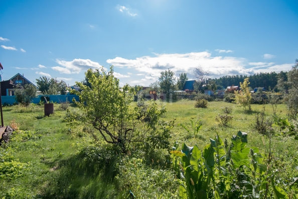 
  Продается дача 48 м². Фото 7.