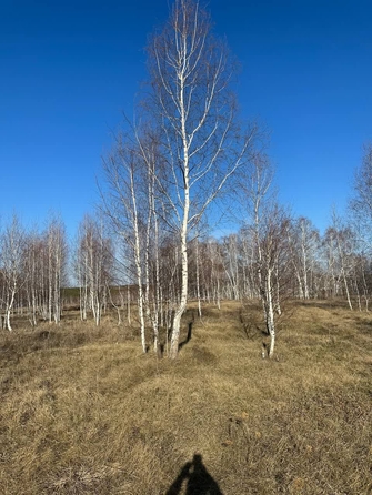
  Продается дом 63.9 м². Фото 11.