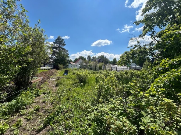
  Продается земельный участок 6 соток. Фото 8.