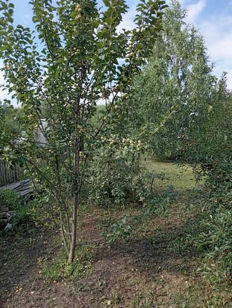 
  Продается дом 186 м². Фото 1.