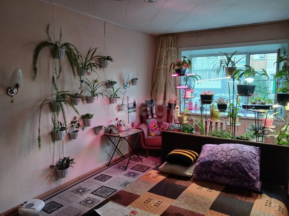 
  Продается 1-комн. квартира 24 м². Фото 3.