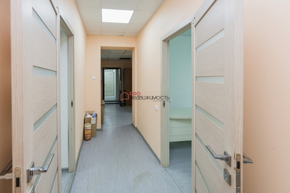 
  Сдается офис 175.4 м². Фото 31.