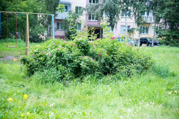 
  Продается универсальное помещение 508.6 м². Фото 32.