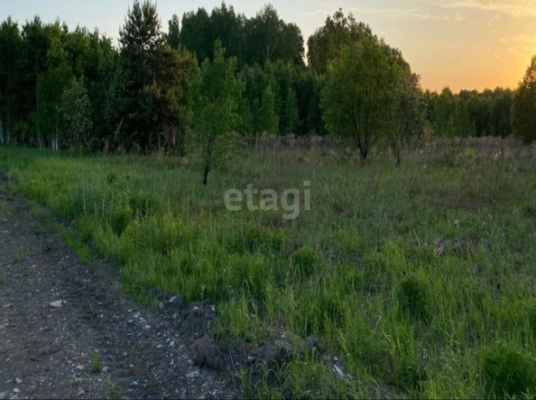 
  Продается земельный участок 20 соток. Фото 7.