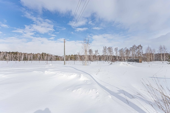 
  Продается земельный участок 7.98 соток. Фото 9.