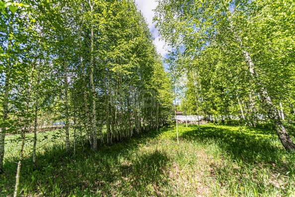
  Продается земельный участок 10.4 соток. Фото 35.