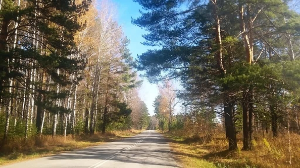 
  Продается земельный участок 11.98 соток, в КП Лаки Парк. Фото 2.