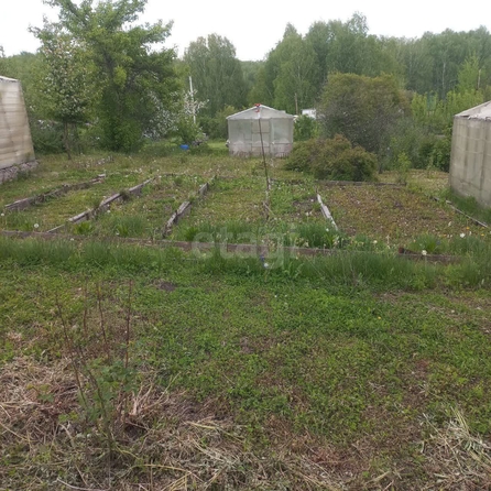 
  Продается дача 50 м². Фото 17.