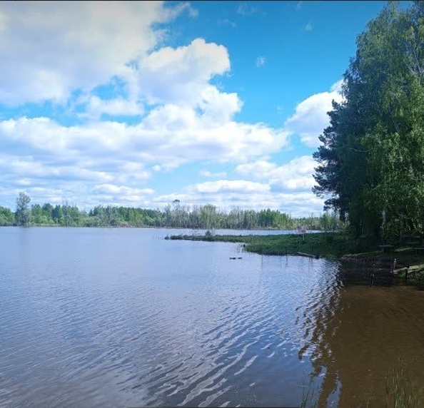 
  Продается земельный участок 17.65 соток, в КП Лаки Парк. Фото 6.
